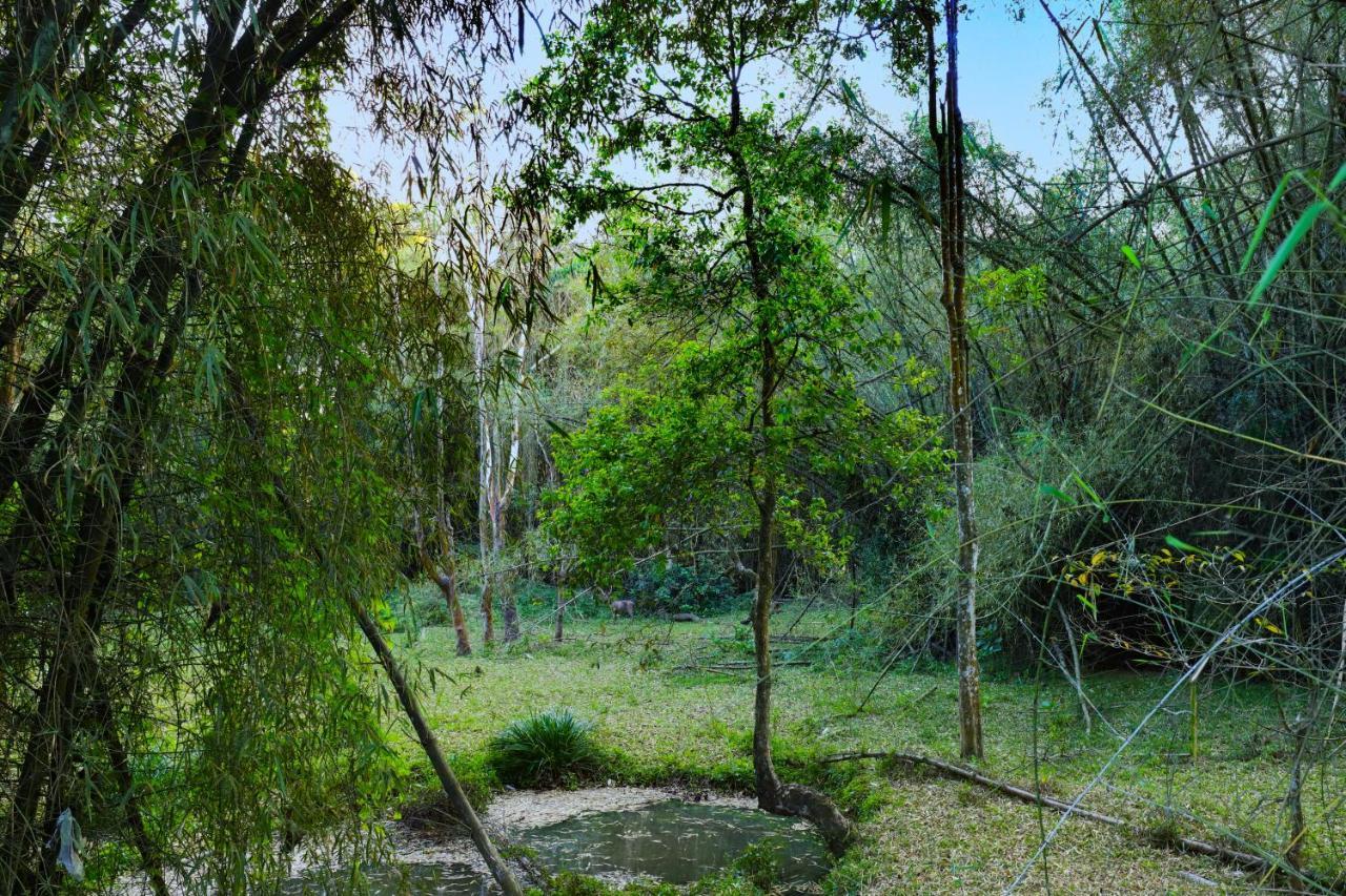 Keys Prima By Lemon Tree Hotels, Thekkady Eksteriør billede